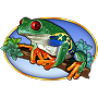 Frog Frog