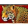 Jaguar Jaguar